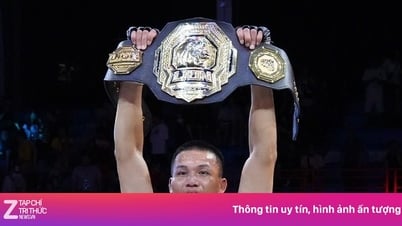 MMA-Profi: Pham Cong Minh verteidigt erfolgreich seinen 84-kg-Gürtel