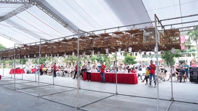 Hội thi chim Chào Mào đấu hót liên tỉnh lần thứ VIII năm 2025