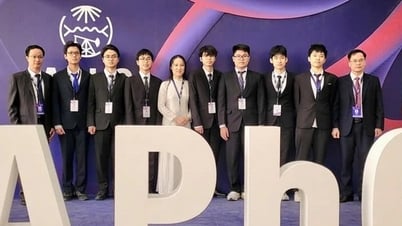 Le Vietnam a remporté 3 médailles d'or aux Olympiades asiatiques de physique de 2025