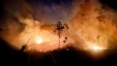 Forest fire after exploitation in Thai Nguyen