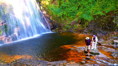 [Photo] Immerse yourself in nature at Hoang Lien National Park