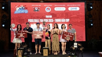 Beeindruckendes Pickleball-Turnier YBA HCM 2025 – Trung Hau Cup