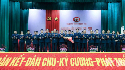 Đảng bộ Trung đoàn Không quân 916 tổ chức Đại hội đại biểu nhiệm kỳ 2025-2030