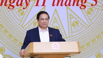 Prime Minister Pham Minh Chinh: Strive to basically eliminate temporary and dilapidated houses before October 31