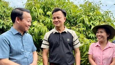 พร้อมสำหรับผลผลิตลิ้นจี่ปี 2025