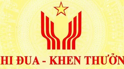 Lấy ý kiến Nhân dân đề nghị truy tặng ‘Huy chương thanh niên xung phong vẻ vang’