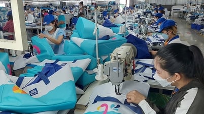 مدينة هونغ نجو تعزز إعادة الهيكلة الصناعية الفعالة