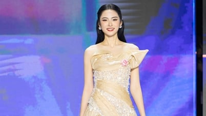 កំពូលបវរកញ្ញាវៀតណាម 2024 ទាំង 25 ត្រូវបានបង្ហាញ