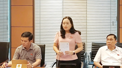Proposal to retain the authority to decide on strategic plans for the National Assembly