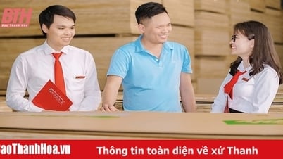 Đồng hành cùng doanh nghiệp phát triển sản xuất, kinh doanh