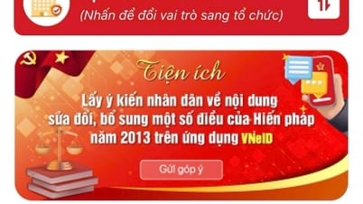 សេចក្តីណែនាំសម្រាប់ការផ្តល់យោបល់លើវិសោធនកម្ម និងបន្ថែមលើមាត្រាមួយចំនួននៃរដ្ឋធម្មនុញ្ញស្តីពី VNeID