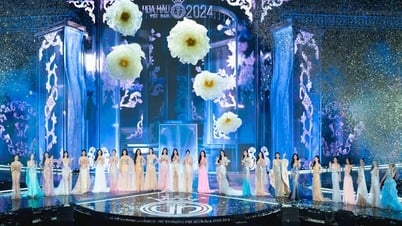 Lộ diện nhan sắc top 25 Hoa hậu Việt Nam 2024