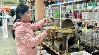 ¿Qué pasó con los populares restaurantes buffet vegetarianos de cero dongs en la ciudad de Ho Chi Minh?