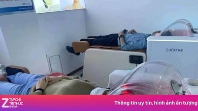 La IA 'invade' la industria del champú