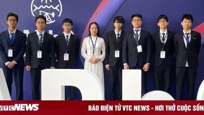 8/8 Vietnamese students won medals at the 2025 Asian Physics Olympiad