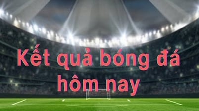 Résultats de football aujourd'hui 11/5 : Le Bayern Munich a gagné facilement