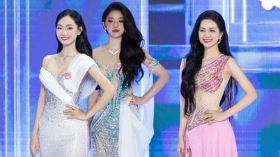 Lộ diện 25 người đẹp bước vào chung kết Hoa hậu Việt Nam 2024