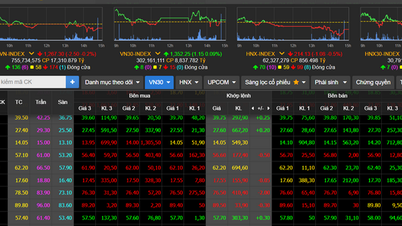 The stock market recovered positively last week