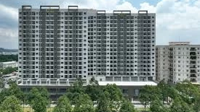 Tọa đàm: Cần siết chặt quản lý nhà ở xã hội