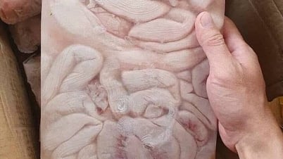 Les organes de porc et de vache sont vendus en ligne à des prix très bon marché.