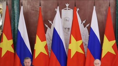 Gemeinsame Erklärung zu den wichtigsten Ausrichtungen der strategischen Partnerschaft zwischen Vietnam und den USA ...