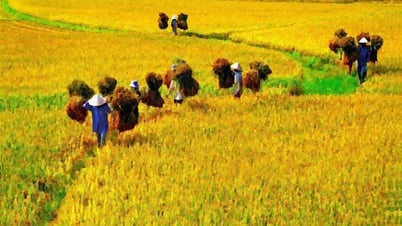 Quê ta mùa gặt