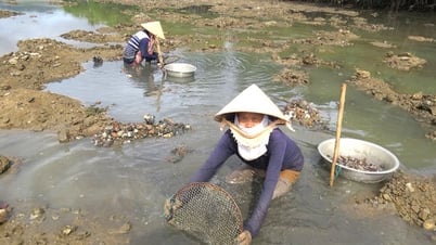 Mưu sinh ở vịnh Xuân Đài