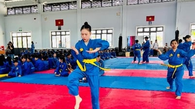 Gần 200 võ sinh thi thăng đẳng môn Vovinam