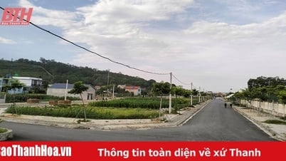 Balancing interests in the real estate market, easy becomes difficult (Part 2): After winning the auction, residential land is abandoned