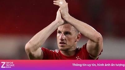 Что происходит с «Ноттингем Форест»?