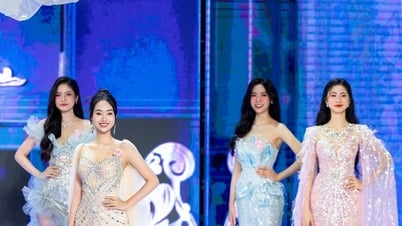 25 thí sinh sẽ tỏa sáng tại vòng chung kết cuộc thi Hoa hậu Việt Nam 2024