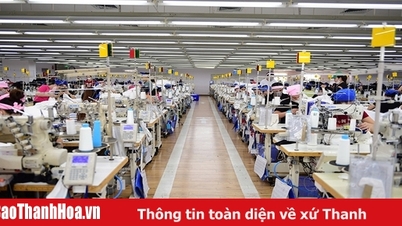 Sakurai Vietnam Co., Ltd.: การเดินทางที่มั่นคงเพื่อไปให้ไกลยิ่งขึ้น พร้อมเสริมสร้างคุณค่าของเวียดนาม