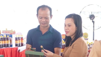 Đưa sản phẩm Quảng Nam tiếp cận thị trường Nhật Bản