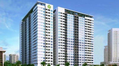 Vì sao kiến nghị thành lập Hiệp hội Quản lý Vận hành nhà ở TP HCM?