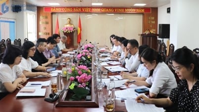 Quảng Ninh đăng cai tổ chức liên hoan Múa rối và Xiếc quốc tế năm 2025