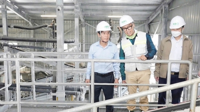 Flexible policies to effectively use excess revenue
