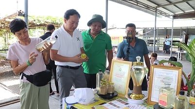 60 chủ doanh nghiệp tham quan, học tập mô hình nông nghiệp gắn với du lịch