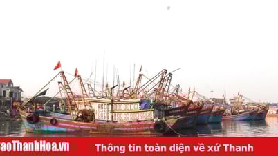 Động viên ngư dân bám biển sản xuất bình thường trong phạm vi vùng biển của Việt Nam