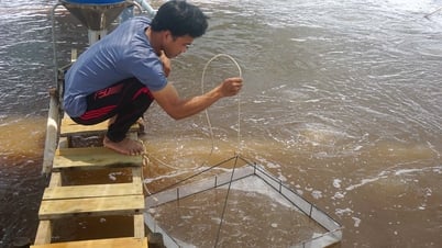 Tạm thời thoát hiểm