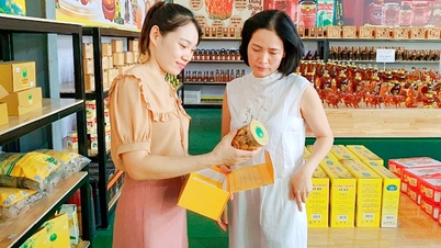 Đẩy mạnh xúc tiến thương mại, mở rộng thị trường tiêu thụ sản phẩm OCOP