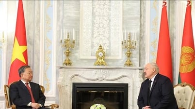 Tổng Bí thư Tô Lâm hội đàm với Tổng thống Belarus Aleksandr...