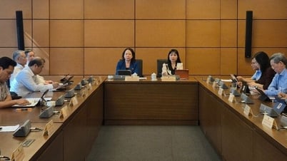 国会議員及び人民評議会議員選挙法の改正に関する議論