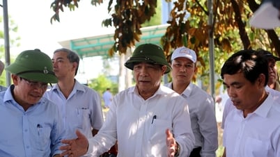 레반중 성 인민위원회 위원장: 바응안 대교 건설을 조속히 착공하고 교통 체증을 해소해야 한다