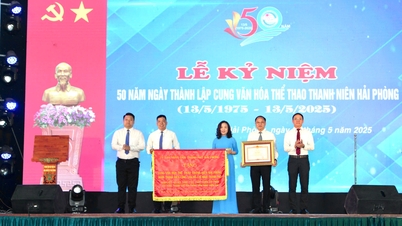 វិមានវប្បធម៌ និងកីឡាយុវជន Hai Phong ៥០ឆ្នាំអមដំណើរយុវជនទីក្រុង