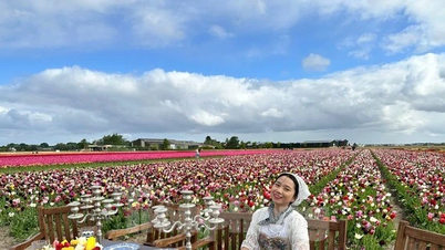 Vietnamesen verirren sich in den märchenhaften Tulpenfeldern der Niederlande