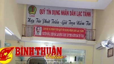 Thí điểm cho vay ngang hàng để quản lý vay qua không gian mạng