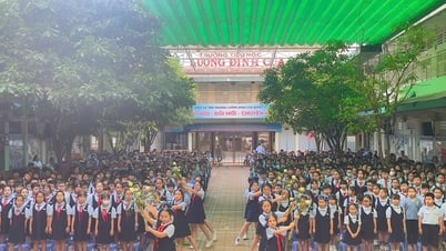 Điều kiện tuyển sinh lớp 1, 6, 10 chương trình tiếng Pháp tại TP.HCM
