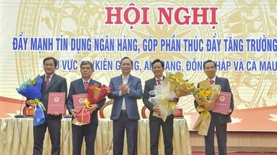 Ngân hàng Nhà nước chi nhánh Khu vực 15 thông tin đường dây nóng