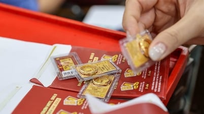 Le prix de l'or a chuté aujourd'hui, le 12 mai 2025, le SJC est tombé à 119 millions de VND