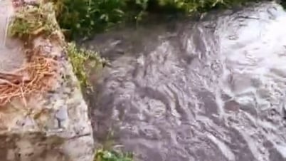 Yêu cầu doanh nghiệp nạo vét, khơi thông hệ thống đường thoát nước